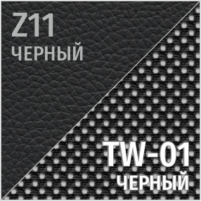 Комбинированный Z11/TW-01