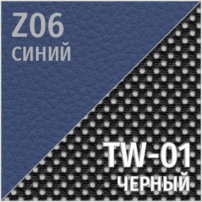 Комбинированный Z06/TW-01